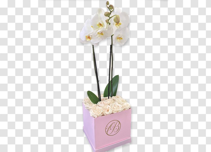 Floral Design Moth Orchids Rose Cut Flowers - Petal Transparent PNG