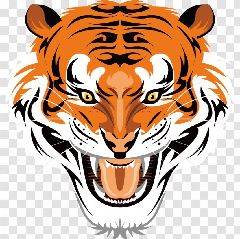 Tiger Illustration - Face Transparent PNG
