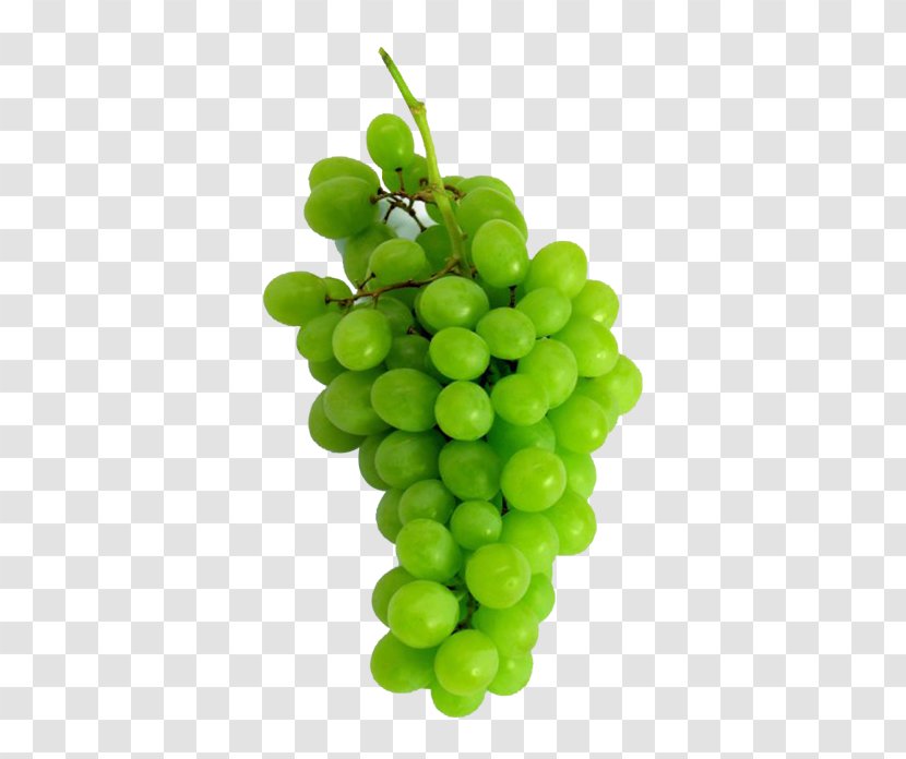 Grapevines Sultana Fruit Wine - Vine - Grape Transparent PNG