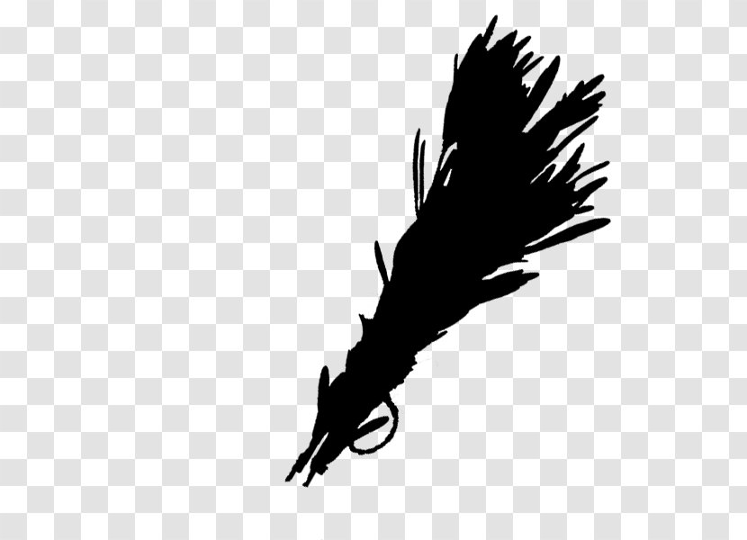 Bald Eagle Beak Feather Font Quill - Writing Implement - Blackandwhite Transparent PNG