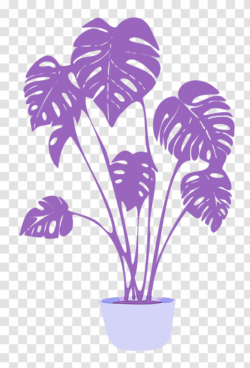 Plant Transparent PNG