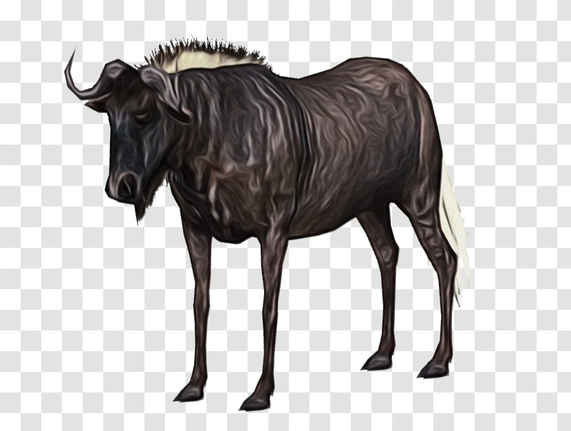Wildebeest Animal Figure Bovine Wildlife Cow-goat Family - Cowgoat - Bull Transparent PNG