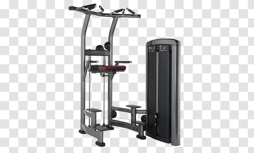 Dip Strength Training Biceps Curl Chin-up - Exercise Machine - Weighing-machine Transparent PNG