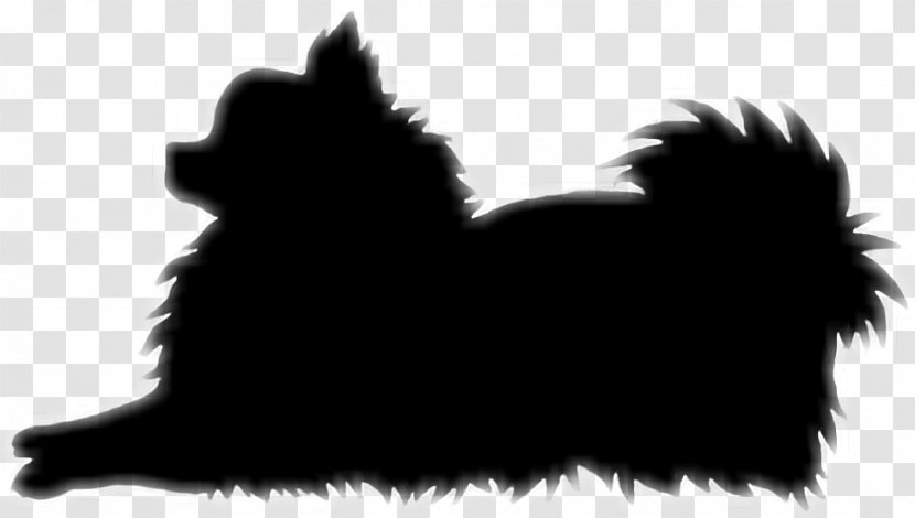 Affenpinscher Pomeranian Dog Breed Snout Silhouette - Whiskers - Pom Transparent PNG