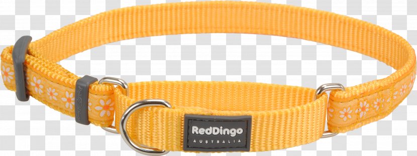 Dingo Dog Collar Martingale - Pink Transparent PNG