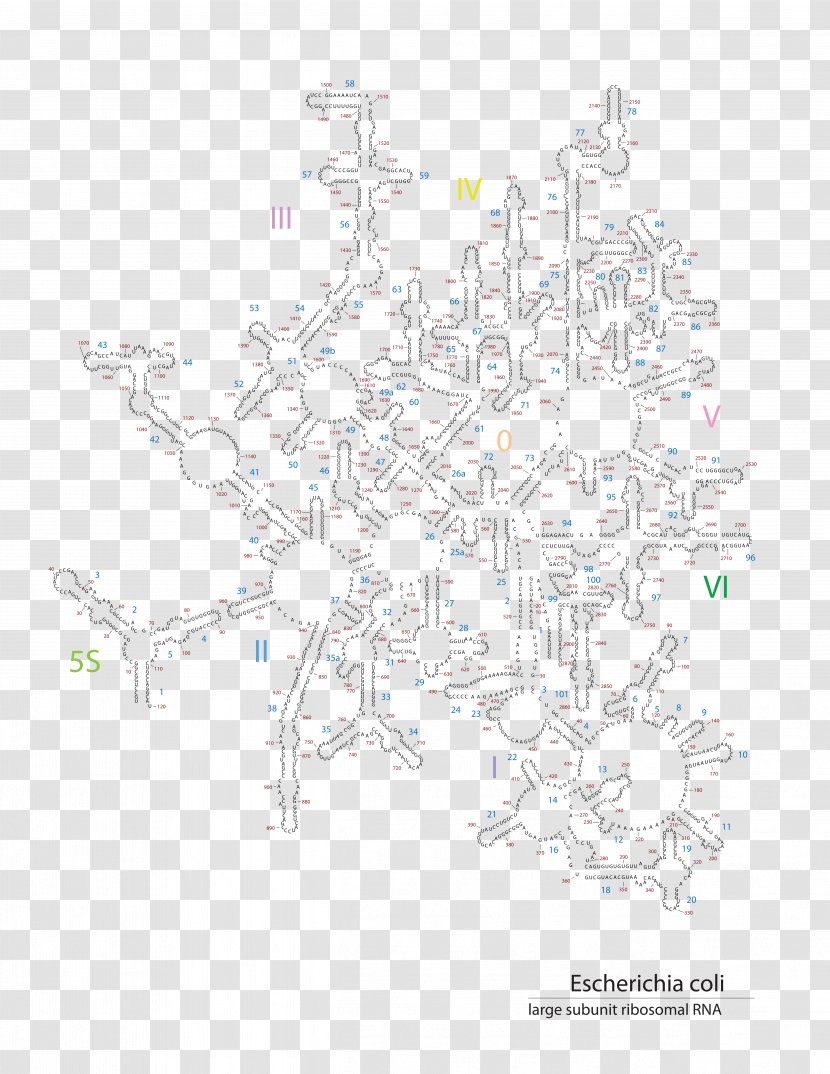 Map Tree Pattern - Tuberculosis Transparent PNG