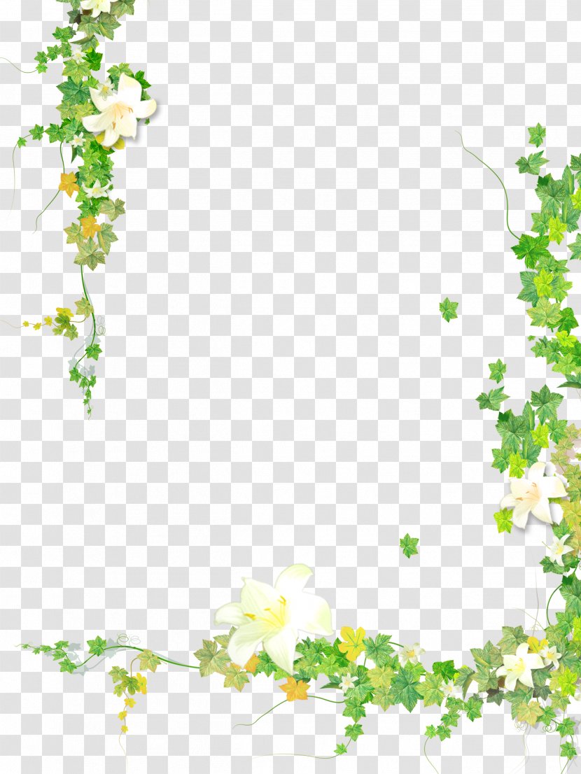 Clip Art Plants Borders And Frames Image Leaf - Grass Transparent PNG