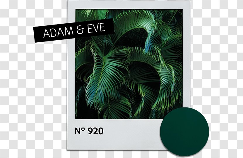 Leaf Alessandro Striplac Nail Polish Green Fototapeta - Adam Eve Transparent PNG