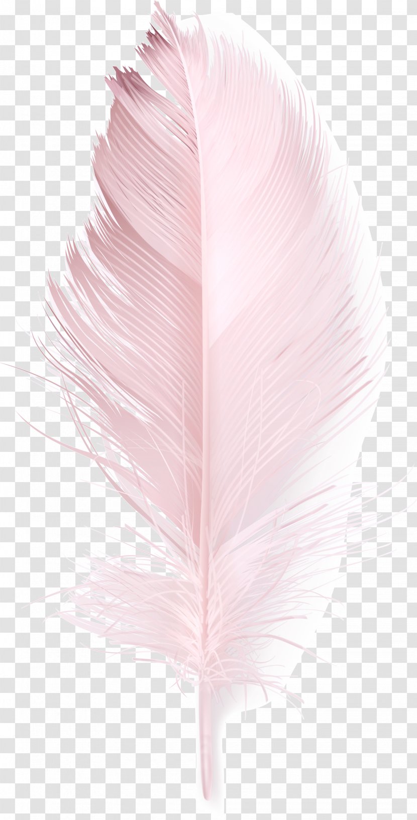 Feather Download Pink Duck - Petal Transparent PNG