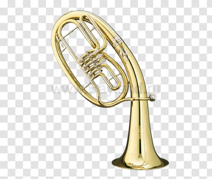 Saxhorn Tenorhorn Euphonium French Horns Brass Instruments - Tree - Musical Transparent PNG