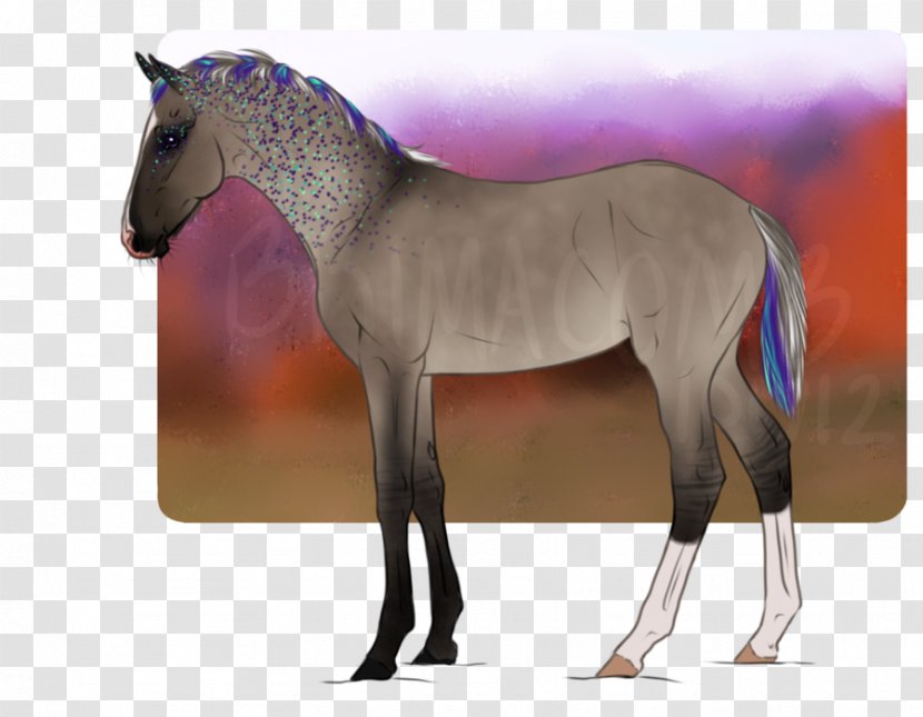 Foal Mane Mare Stallion Mustang Transparent PNG