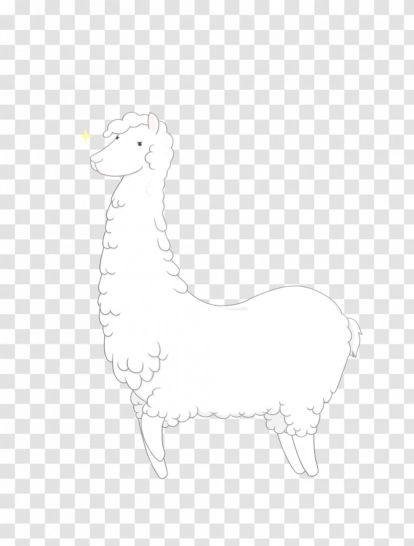 Llama Sheep Mammal Animal Sketch - Figure Transparent PNG