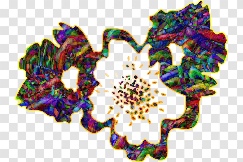 Flower Symmetry Petal Pattern - 71 Transparent PNG