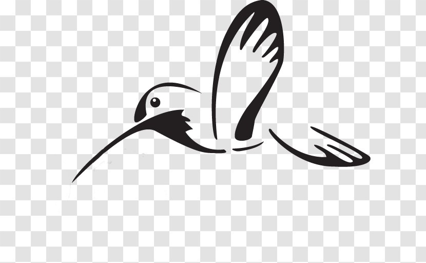 Beak Water Bird White Clip Art Transparent PNG
