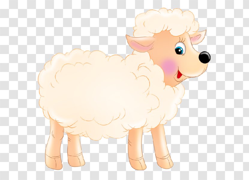 Sheep Cattle Goat Dog Mammal - Nose Transparent PNG