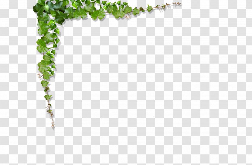 Green Vine Leaf - Leaves, Vines Climb The Wall Transparent PNG