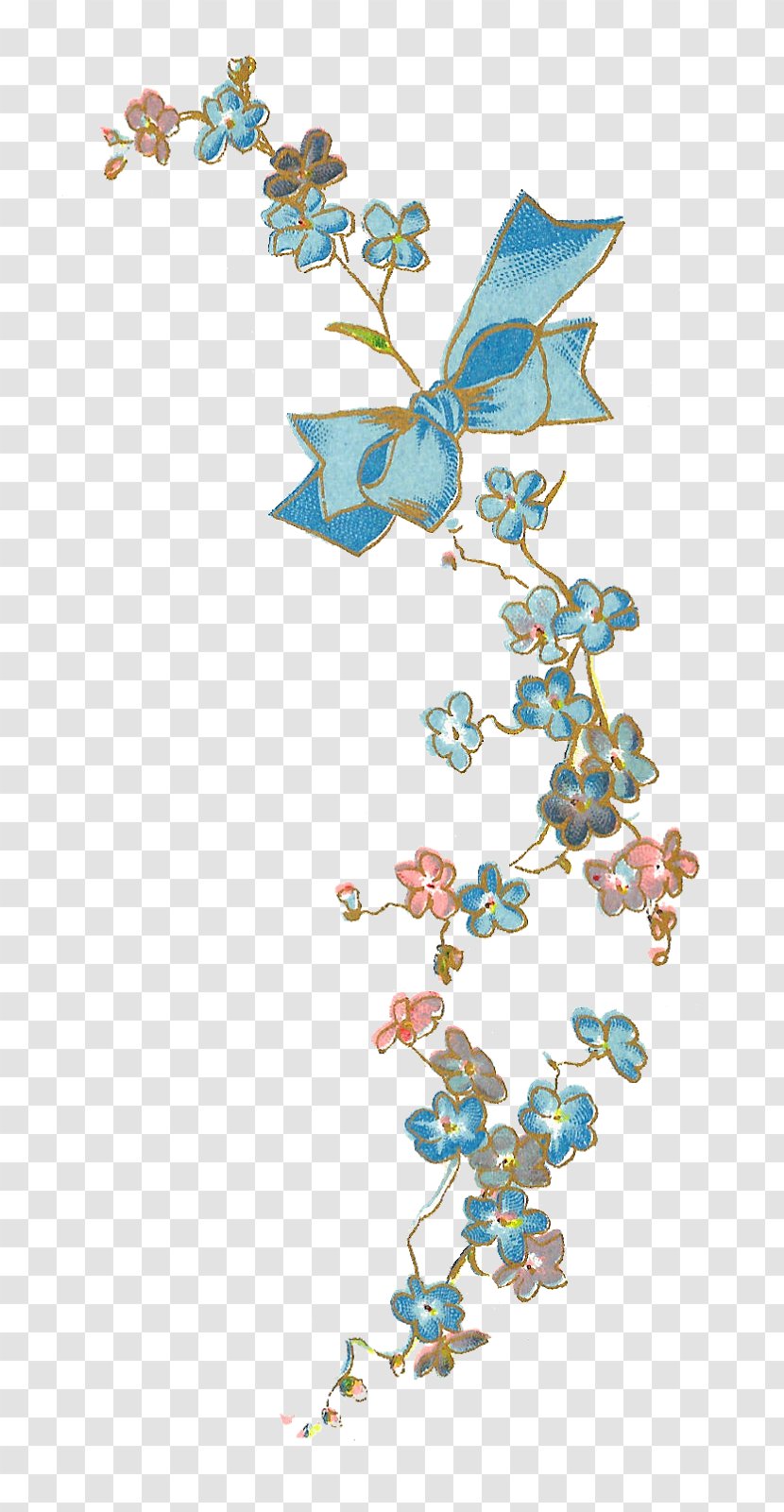 Flower Blue Scorpion Grasses Vintage Clothing Clip Art - Petal - Floral Transparent PNG