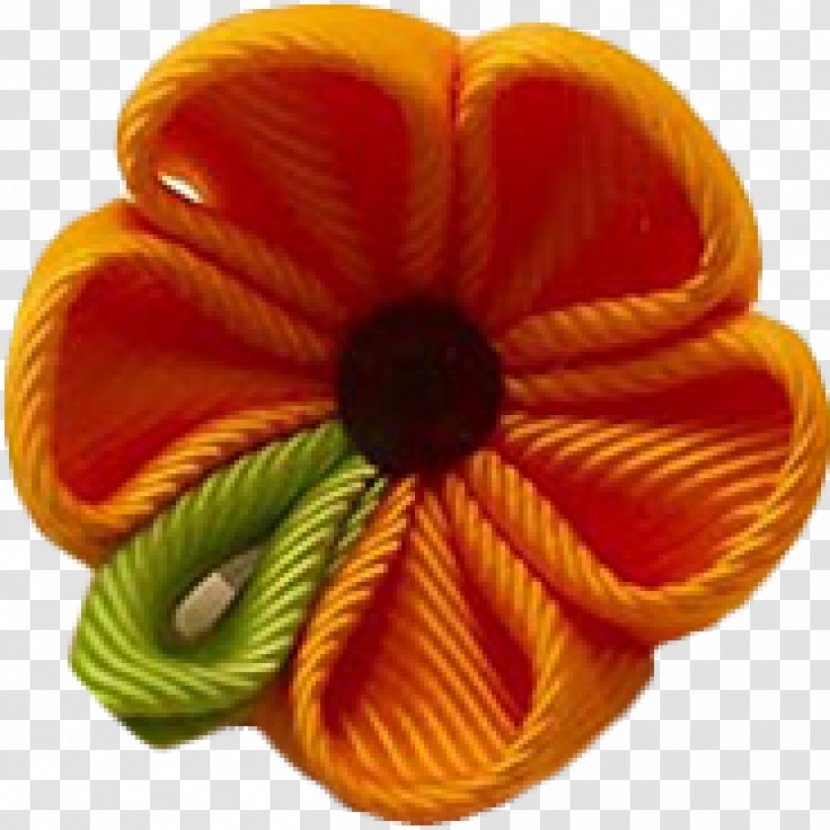 Petal Cut Flowers - Orange - Skyy Transparent PNG