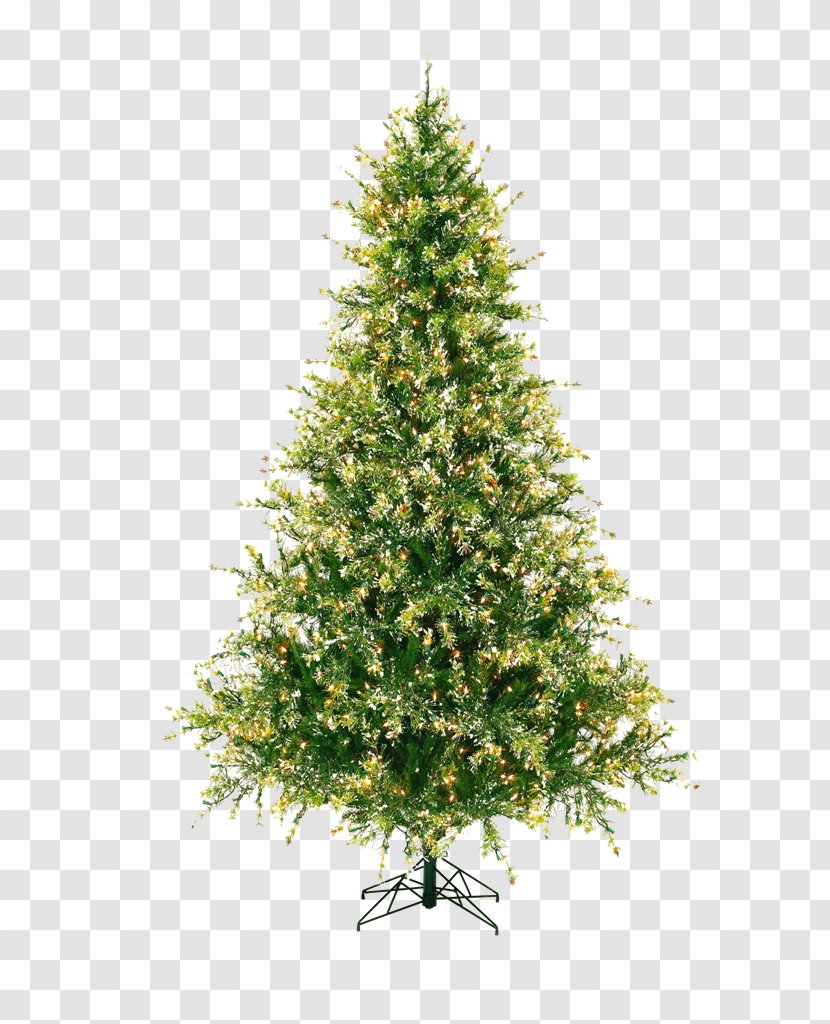 Spruce Artificial Christmas Tree Ели Пенери Pine - Needle Transparent PNG