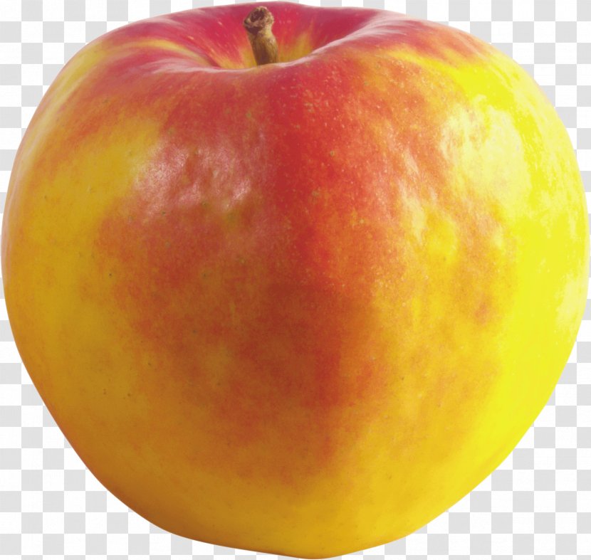Apple Clip Art - Clipping Path - Image Transparent PNG