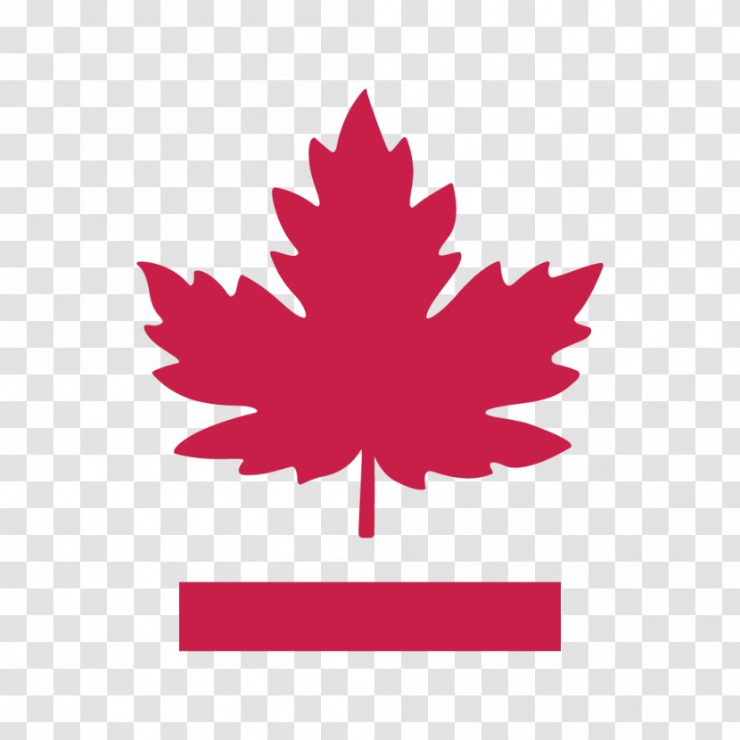 Duty Free Sarnia IGL Shop Adidas - Canada - Campfire Pictures Transparent PNG