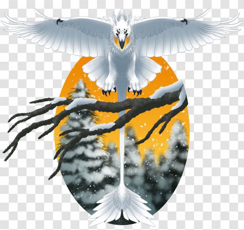 Eagle Beak Desktop Wallpaper - Fauna Transparent PNG