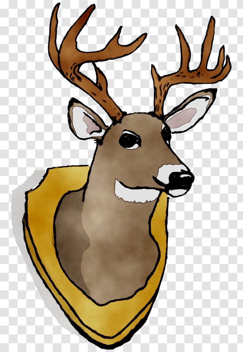 Reindeer Antler Elk Clip Art Character - Head - Wildlife Transparent PNG