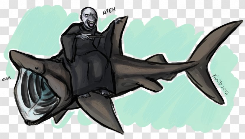 Basking Shark Drawing Lord Shen - Week Transparent PNG