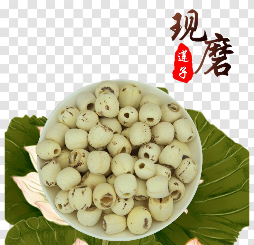 Lotus Seed Nelumbo Nucifera Vegetarian Cuisine Food - Ingredient - No Natural Seeds Transparent PNG