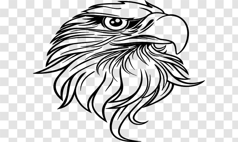 Bald Eagle Black-and-white Hawk-eagle Drawing Clip Art - Black - Painting Transparent PNG