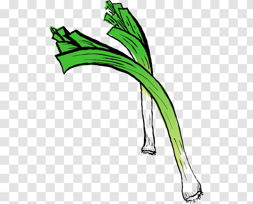 Spring Fruit Leek Autumn - Tree Transparent PNG