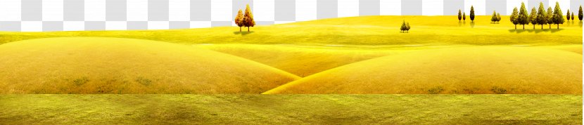Autumn Villa Harvest - Grass - Field Design Material Transparent PNG