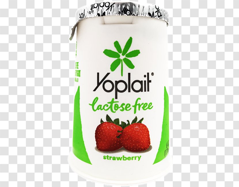 Milk Cream Kefir Yoplait Yoghurt - Flavor Transparent PNG