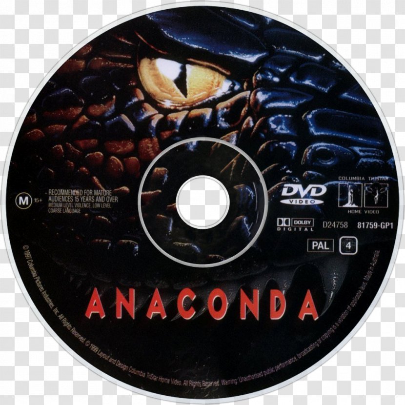 YouTube Anaconda Paul Sarone Film - Youtube Transparent PNG