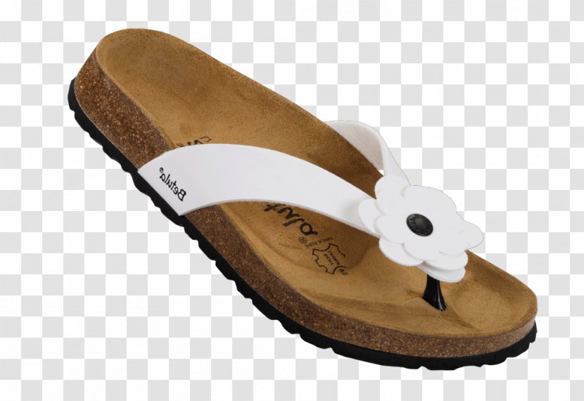 Slipper Flip-flops Slide Sandal Shoe - Footwear Transparent PNG