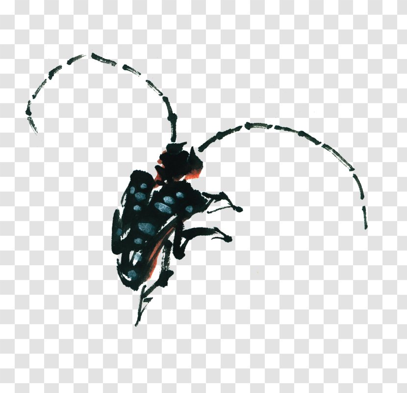 Beetle Antenna Ink - Insect - Decorative Pattern,insect Transparent PNG