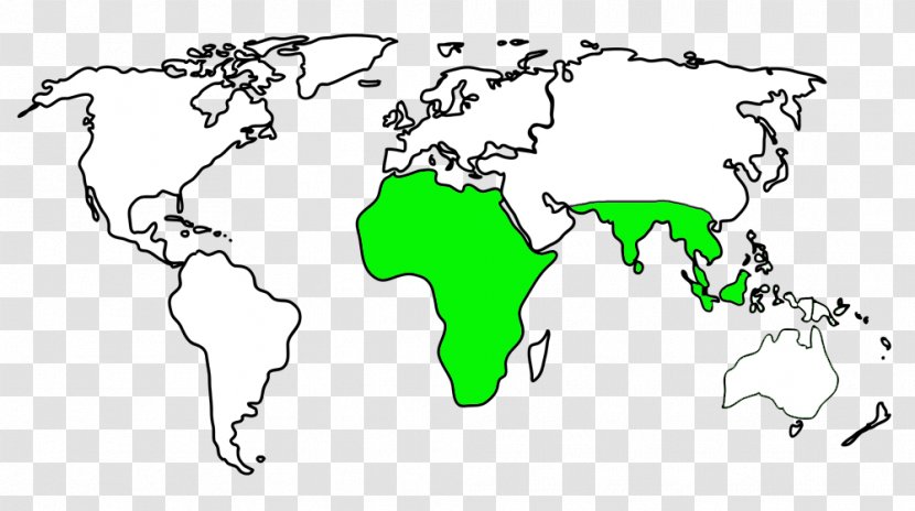 World Map Globe Blank - Point Transparent PNG