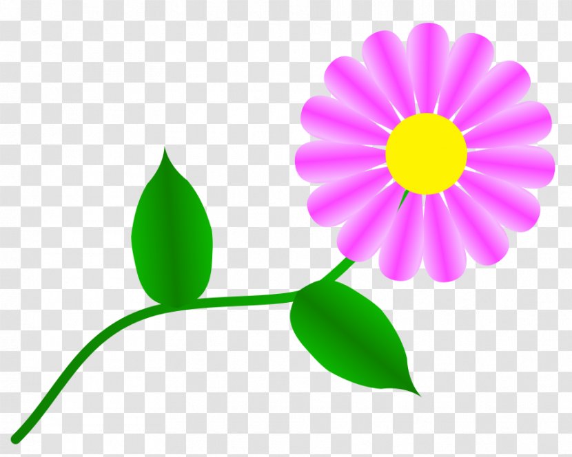 Flower Common Daisy Free Content Clip Art - Plant - Gerbera Clipart Transparent PNG