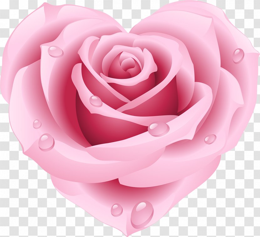 Rose Heart Pink Clip Art - Flowers - Pillow Transparent PNG