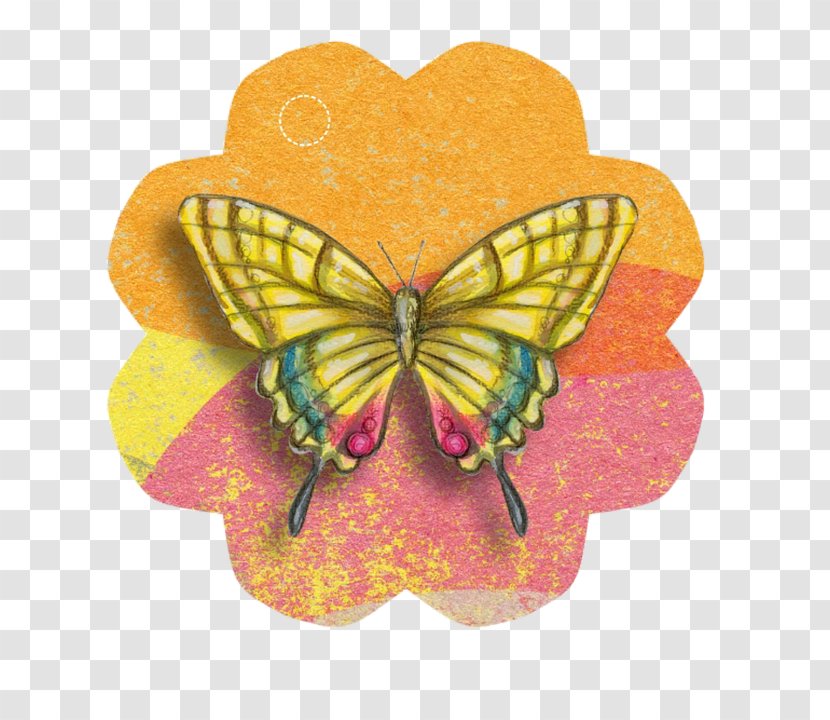 Butterfly Paper Clip Art Butterflies And Moths - Pollinator Transparent PNG