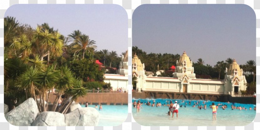 Siam Park Tourism Water Tourist Attraction - Tenerife - Wave Pool Transparent PNG