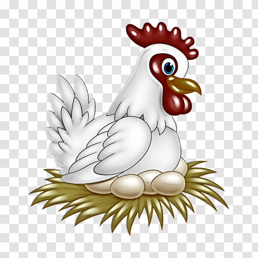 Chicken Bird Rooster Cartoon Beak Transparent PNG
