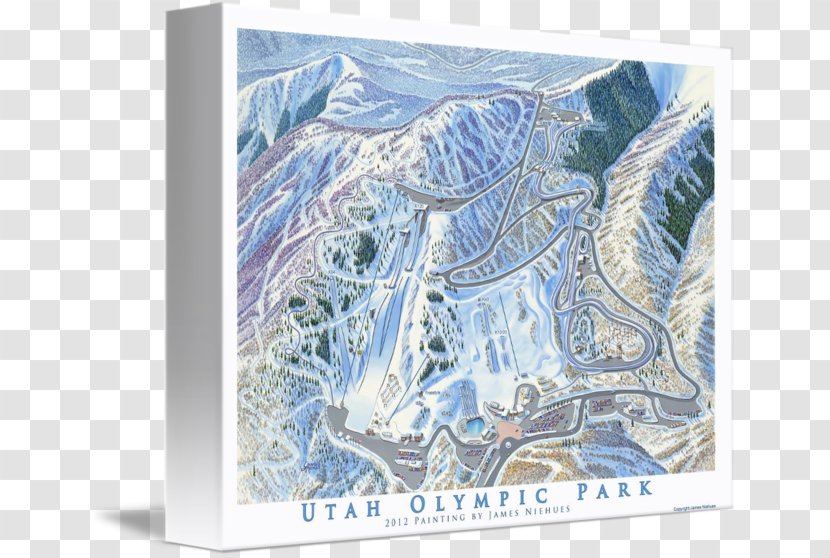 Utah Olympic Park Printmaking Gallery Wrap Canvas Art - Organism - Abstract Transparent PNG