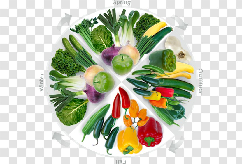 Vegetarian Cuisine Leaf Vegetable Food Garnish - Recipe - Bok Choy Transparent PNG