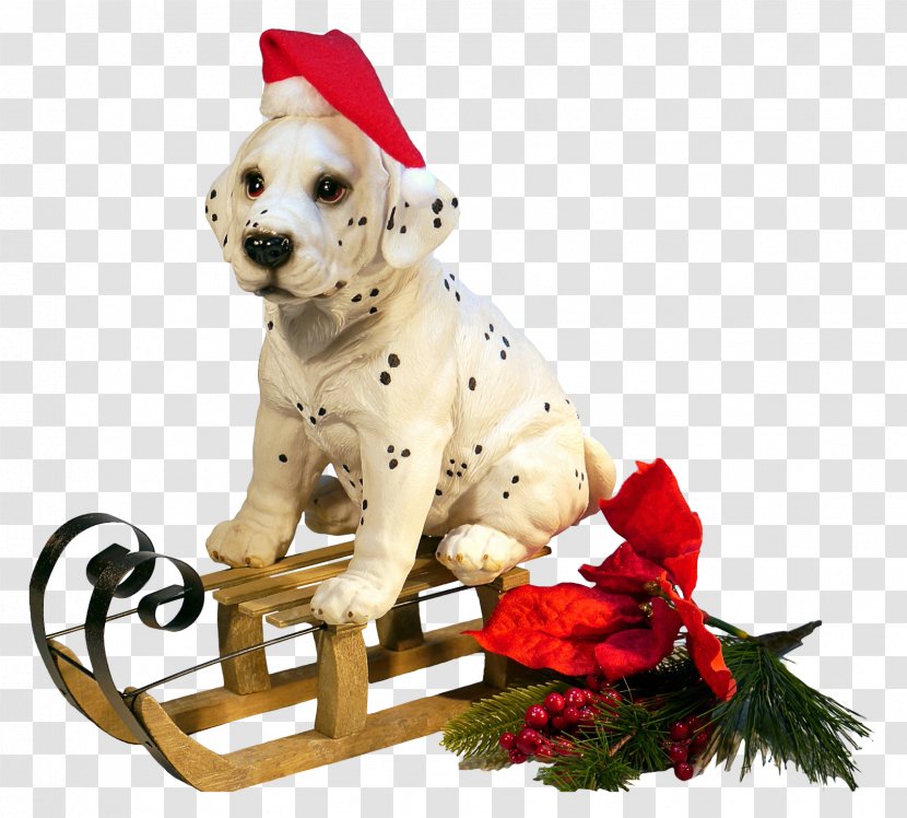 Dog New Year Christmas Clip Art - Crossbreeds Transparent PNG