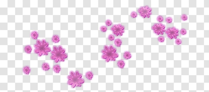 Flower Clip Art - Pink Family - Violet Transparent PNG