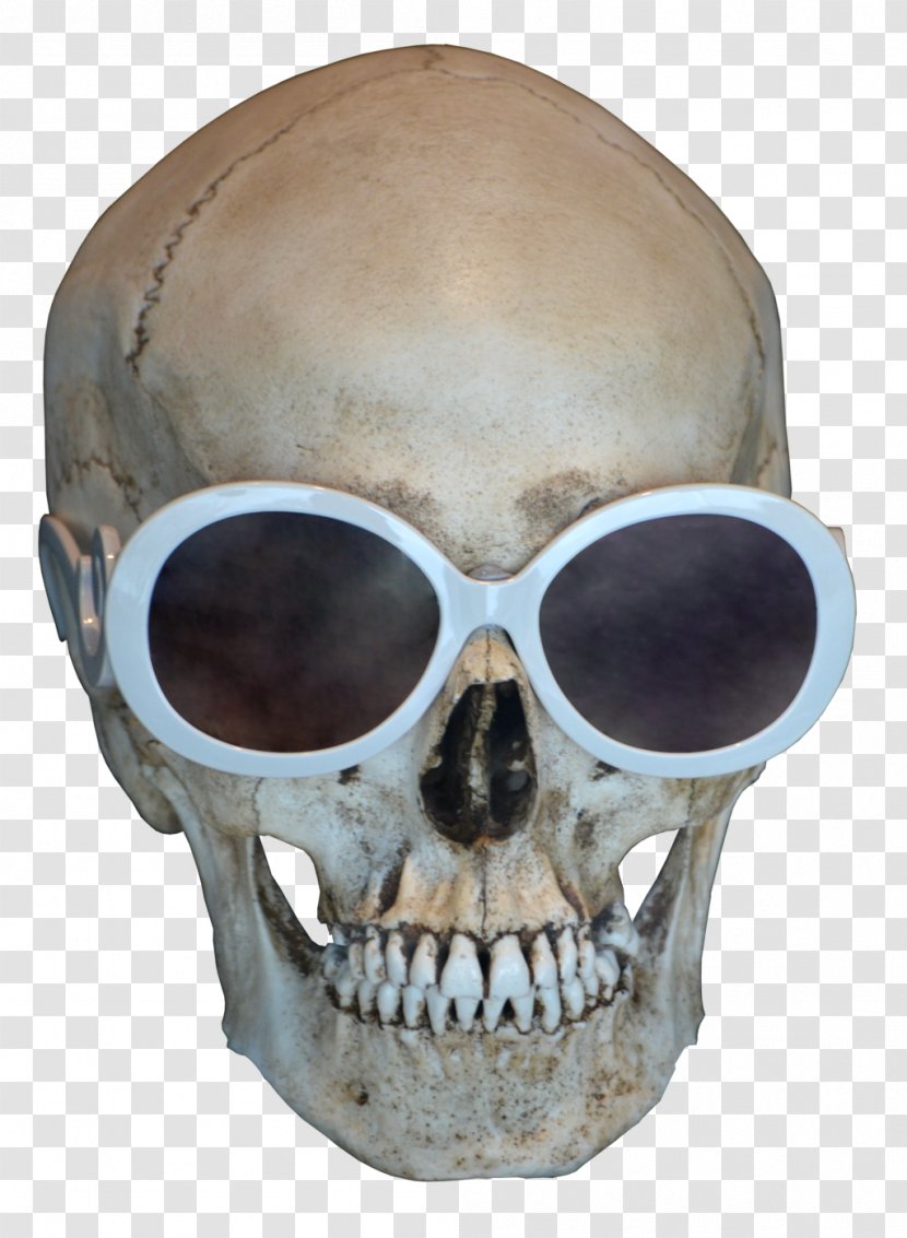 Skull Desktop Wallpaper Clip Art - Frontal Bone - Human Transparent PNG