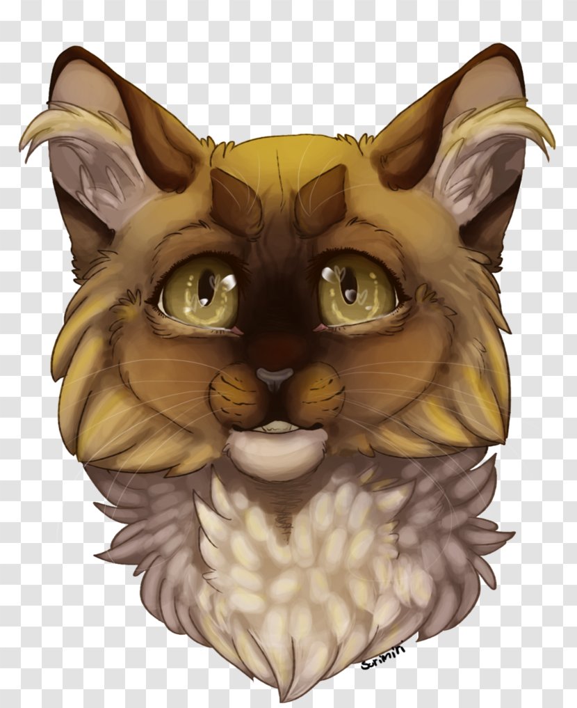 Whiskers Cat Illustration Owl Snout - Mammal Transparent PNG