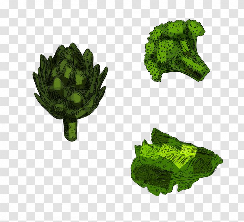 Cauliflower Vegetable Broccoli Food - Tomato Transparent PNG