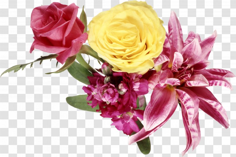 Flower Garden Roses - Gladiolus Transparent PNG